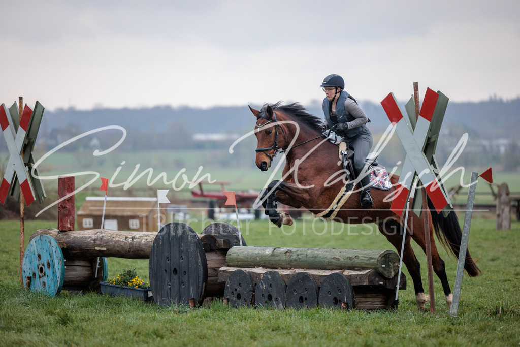 20260329-_3LI4012 | Tierfotografie Pferde, Hunde, Katzen, Haustiere.
Turnierfotografie Reitturniere, Reiten, Springreiten, Dressur in Hanau, dem Main-Kinzig-Kreis und dem Rhein-Main- Gebiet um Frankfurt
