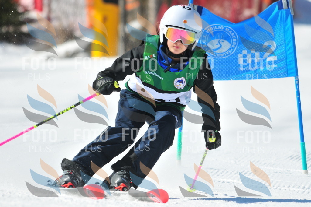 C3762 | holidayphoto