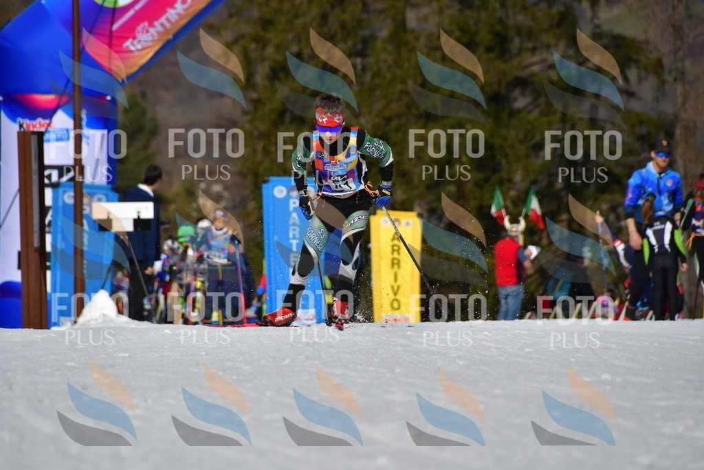 _DSC9722 | holidayphoto