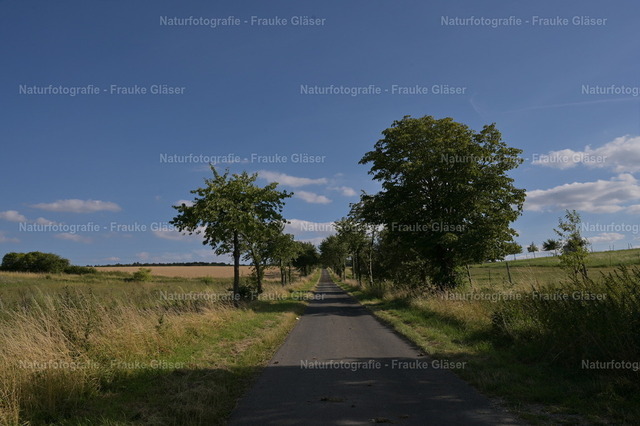 F.Gläser_0799 | Naturfotografie Frauke Gläser - Realisiert mit Pictrs.com