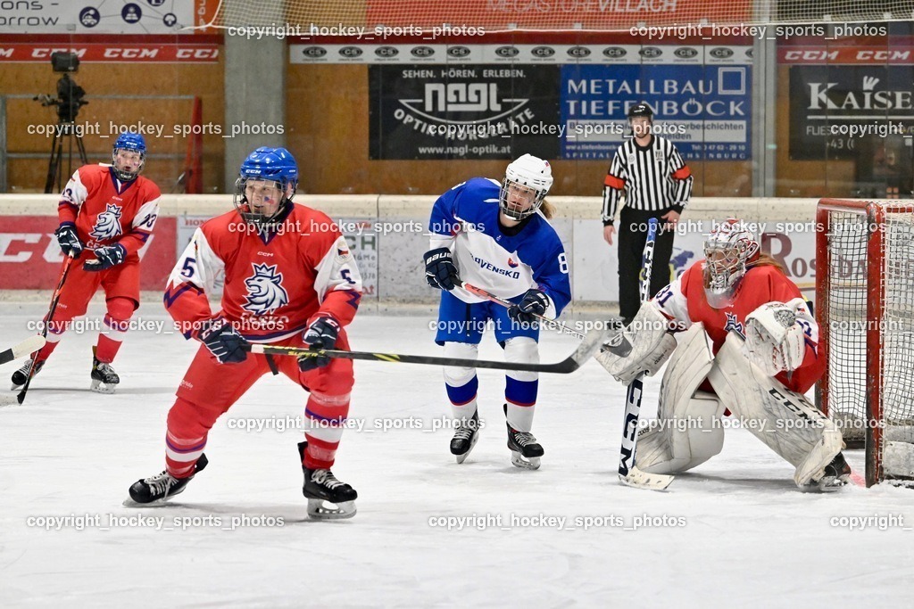 Z9B_7458 | hockey sports photos, Pressefotos, Sportfotos, hockey247, win 2day icehockeyleague, Handball Austria, Floorball Austria, ÖVV, Kärntner Eishockeyverband, KEHV, KFV, Kärntner Fussballverband, Österreichischer Volleyballverband, Alps Hockey League, ÖFB, 