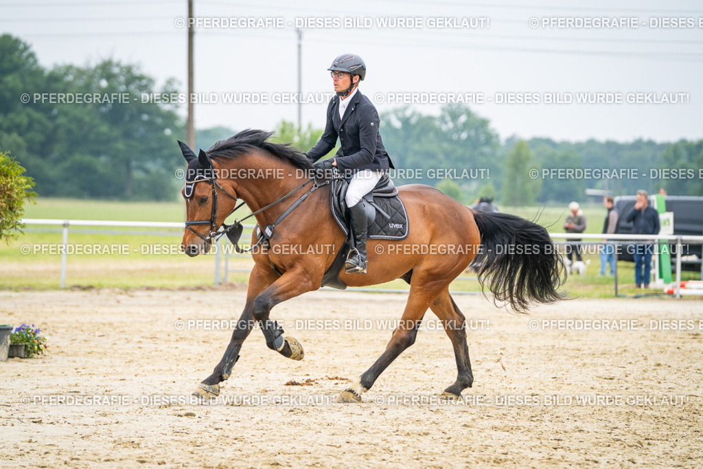 DSC00340 | Pferdegrafie