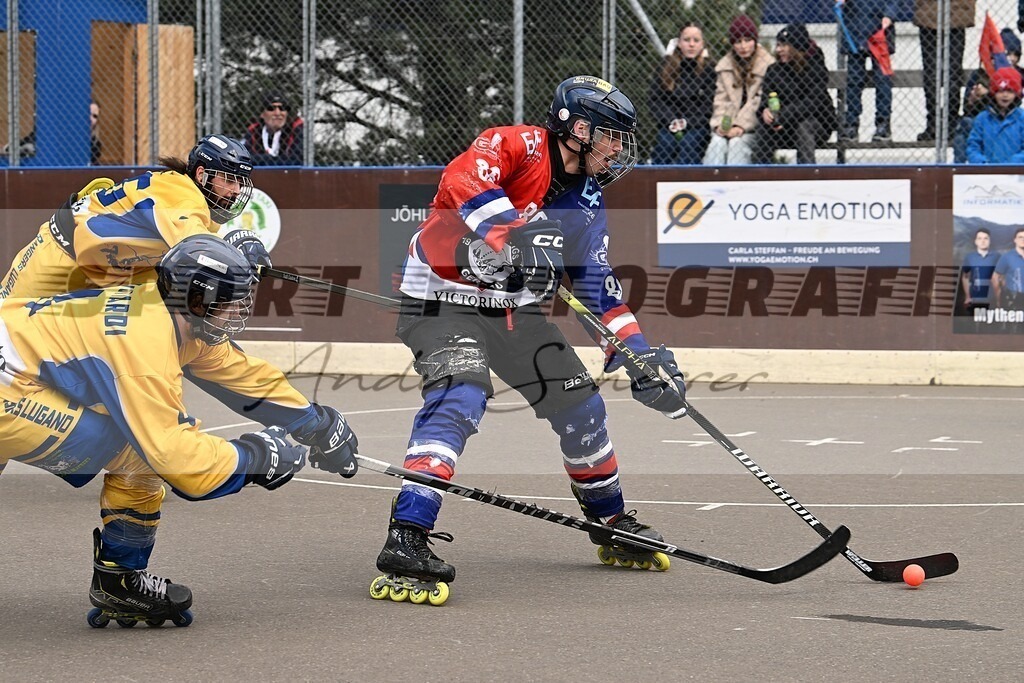 aaaDSC_2691 | Kaufen Sie Sportbilder im Onlineshop von Andy Scherrer Sportfotografie. Faszinierende Bilder von Sportevents aus der ganzen Schweiz. Fussball, Frauenfussball, Unihockey, Handball, Schwingen und weiteren Sportarten. - Realisiert mit Pictrs.com