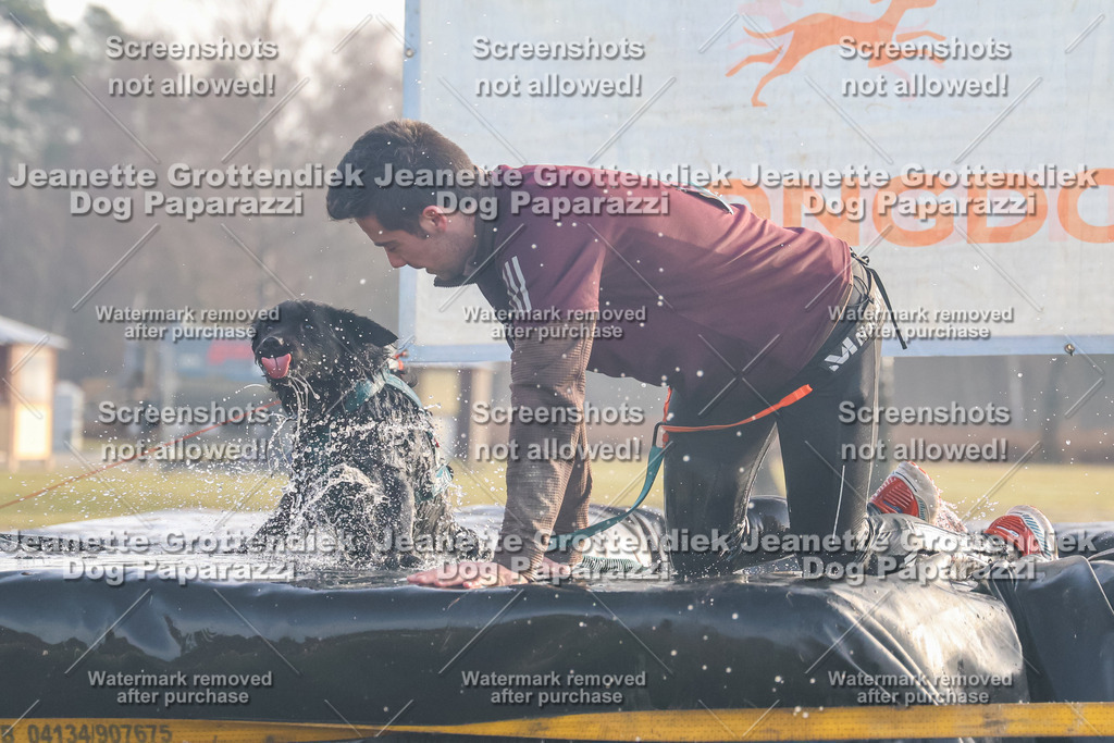 Dog Paparazzi - SD North Sa 830-900-203 | Dog Paparazzi Jeanette Grottendiek Fotografie & Videografie - Realisiert mit Pictrs.com