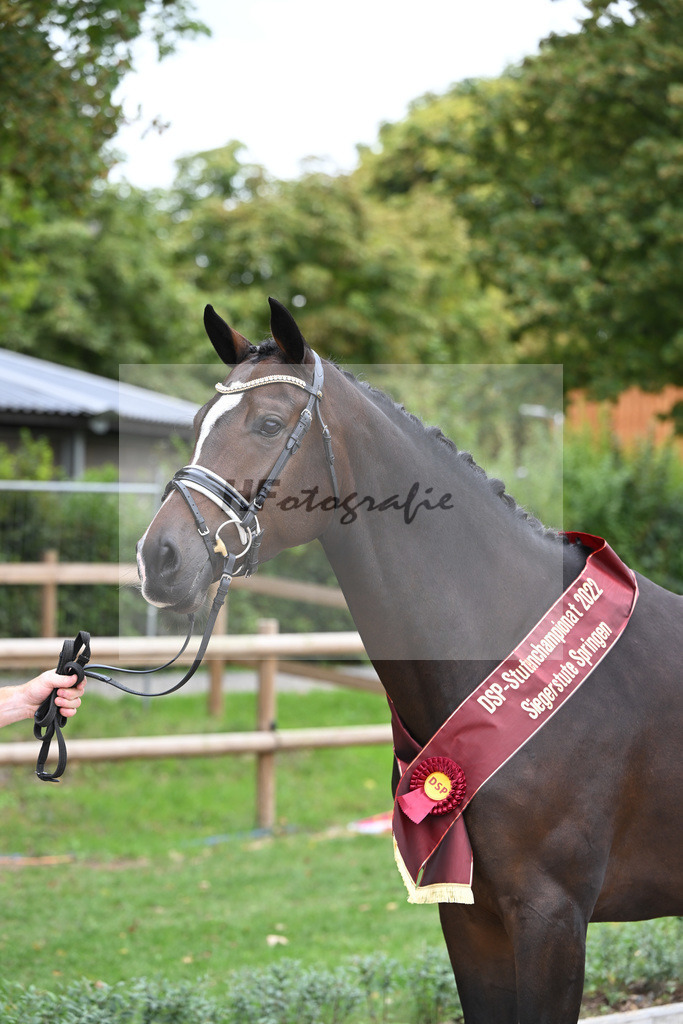 Kat-Nr. 9 Laurena_Kuehnle u Langhammer_49220948 | hf-fotografie - Realisiert mit Pictrs.com