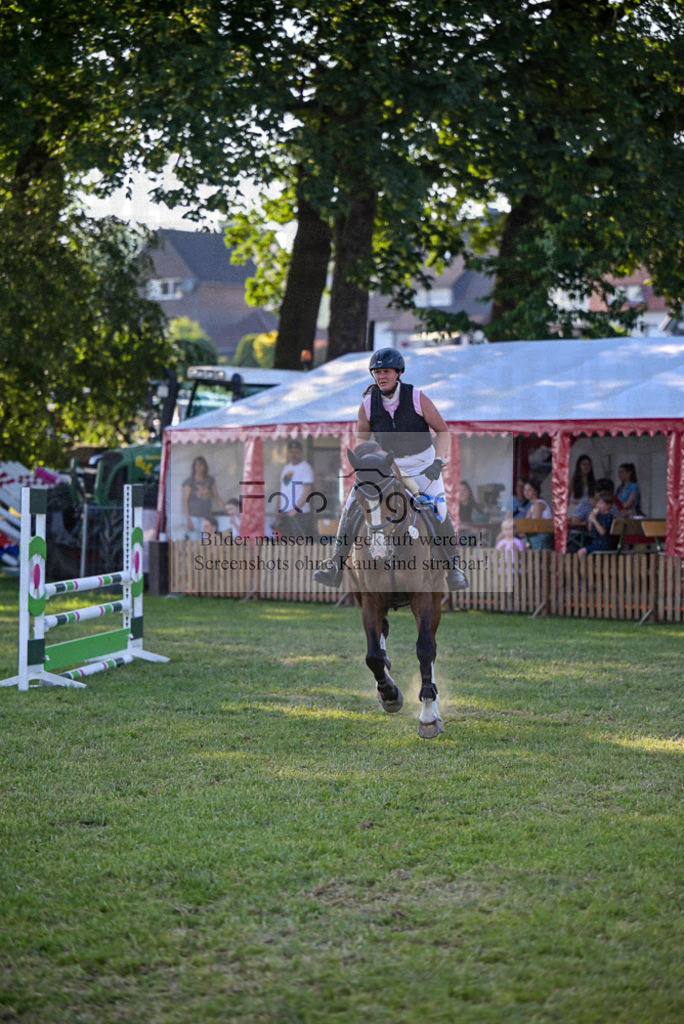 Reitturnier Voxtrup | Entdecke hochwertige Reitturnierfotos von Foto Oger. Professionell, emotional und authentisch – jetzt Lieblingsmomente im Shop bestellen.Deutschlandweite Turnierfotografie. - Realisiert mit Pictrs.com