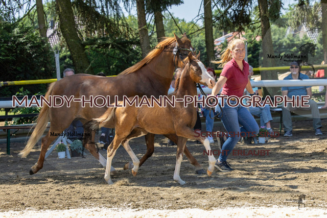 94-39 | mandyhollmannphotographie