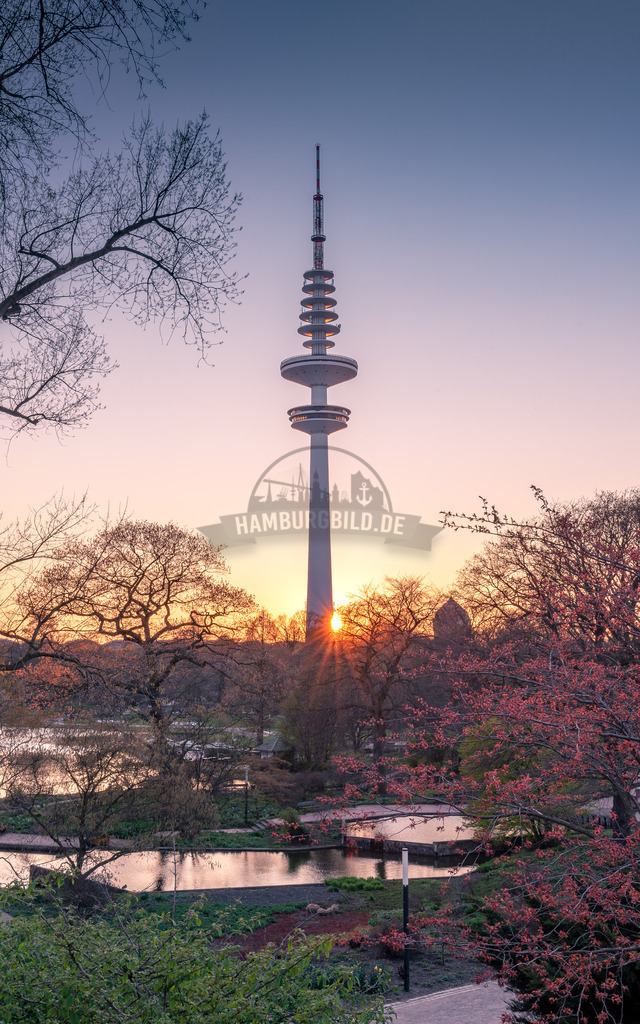 Hochkant-Motive-by-stativkunst.de-040 | Exklusive Hamburg collagen, tolle Segelbilder und viele weitere tolle Motive auf Leinwand, Poster, Alu-Dibond, u.v.m. findet Ihr bei uns auf hamburgbild.de. Findet Euer Wandbild für Euer Zuhause, Büro oder die  Praxis…. - Realisiert mit Pictrs.com