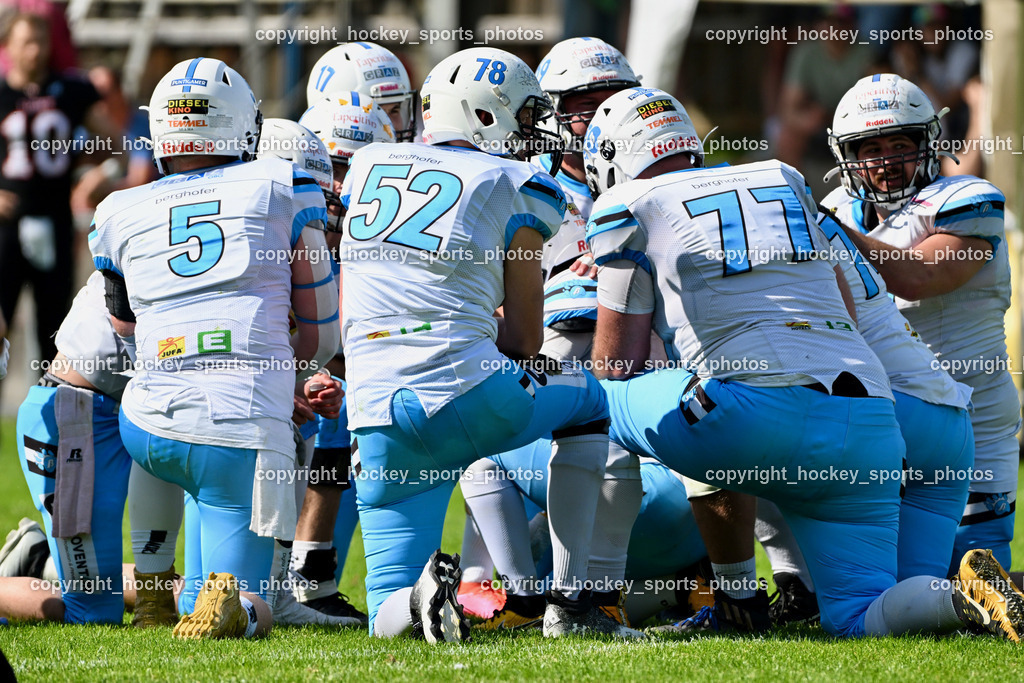 Carinthian Lions vs. Styrian Bears | Carinthian Lions vs. Styrian Bears, Carinthian Lions vs. Styrian Bears am 20.05.2024 in Klagenfurt (ASV Sportplatz), Austria, (Photo by Bernd Stefan)