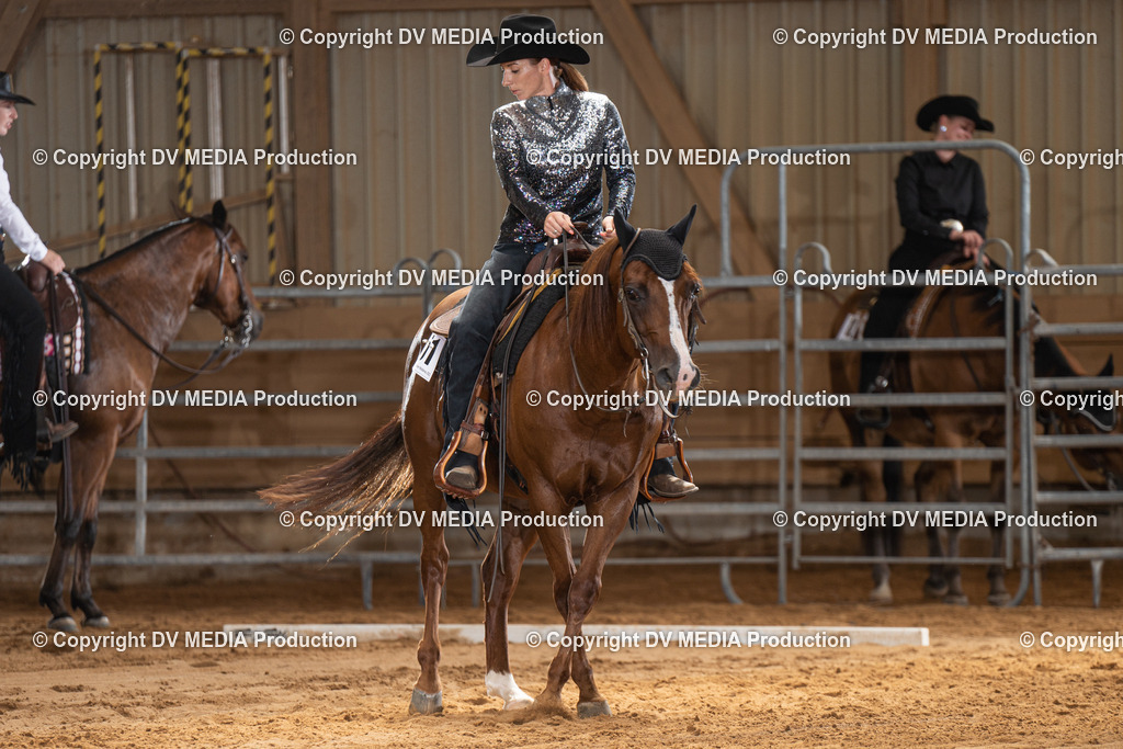 NID00474 | dv-media-shop - Realisiert mit Pictrs.com