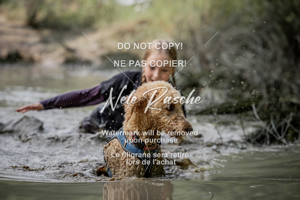 nelerasche_so0800-0930_50 | nelerasche