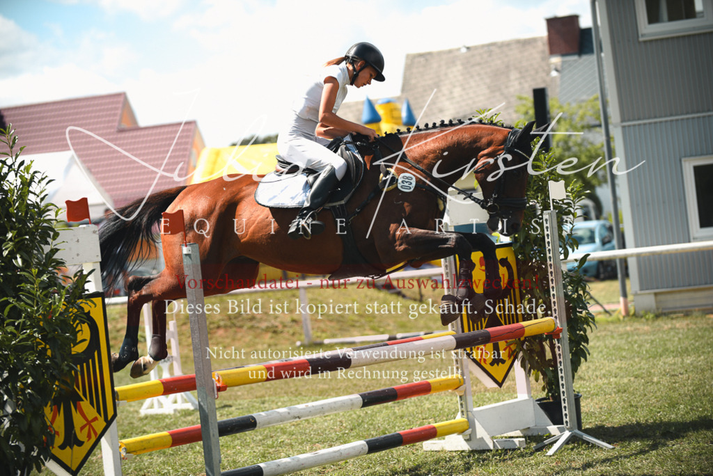 DSC_6655 | Pferde- und Turnierfotografie in Westsachsen. Pferdeportraits, Auftragszeichnungen und intuitive Kunst.