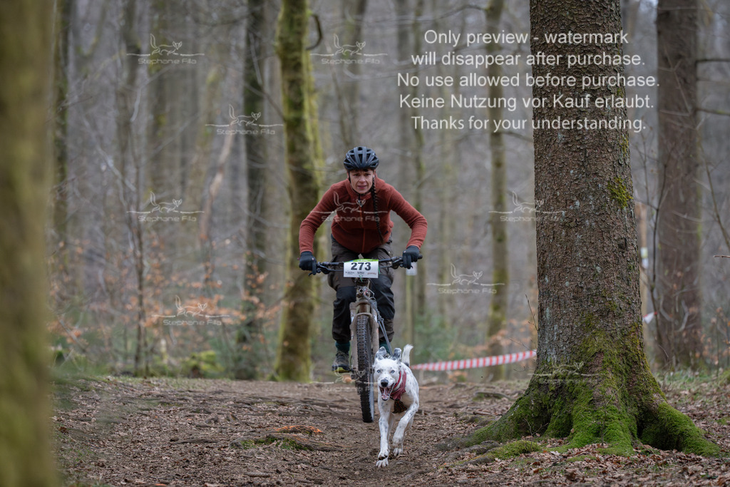 Bike_So-149 | stephaniefillaphotographie - Realisiert mit Pictrs.com