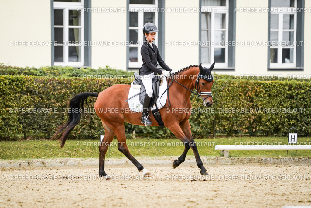 DSC07891 | Pferdegrafie