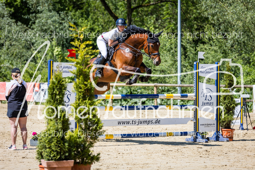 Donop24-L-Spr-045 | MomenTaufnahmen Pferdesportfotos