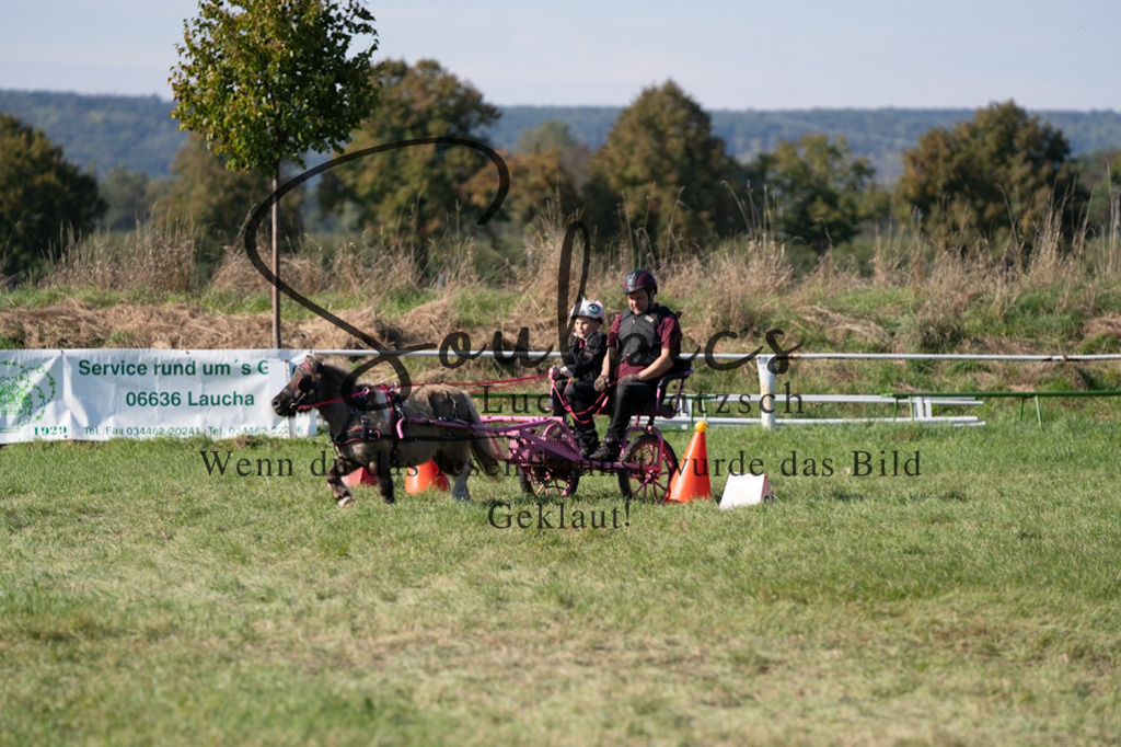 A7V04393 | Pferdefotograf