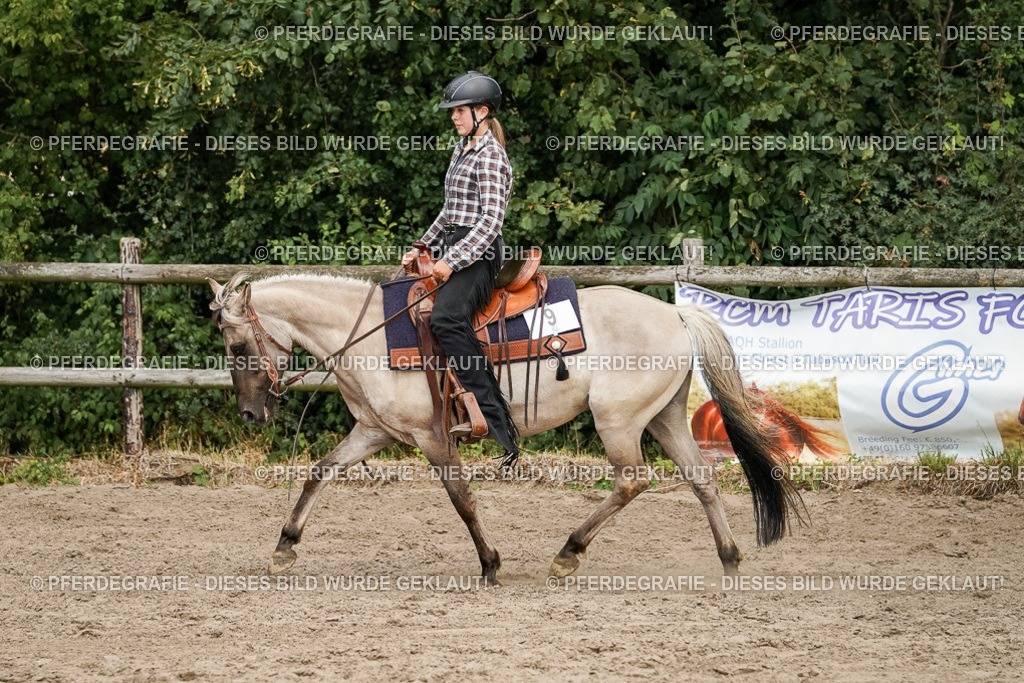 DSC09910 | Pferdegrafie