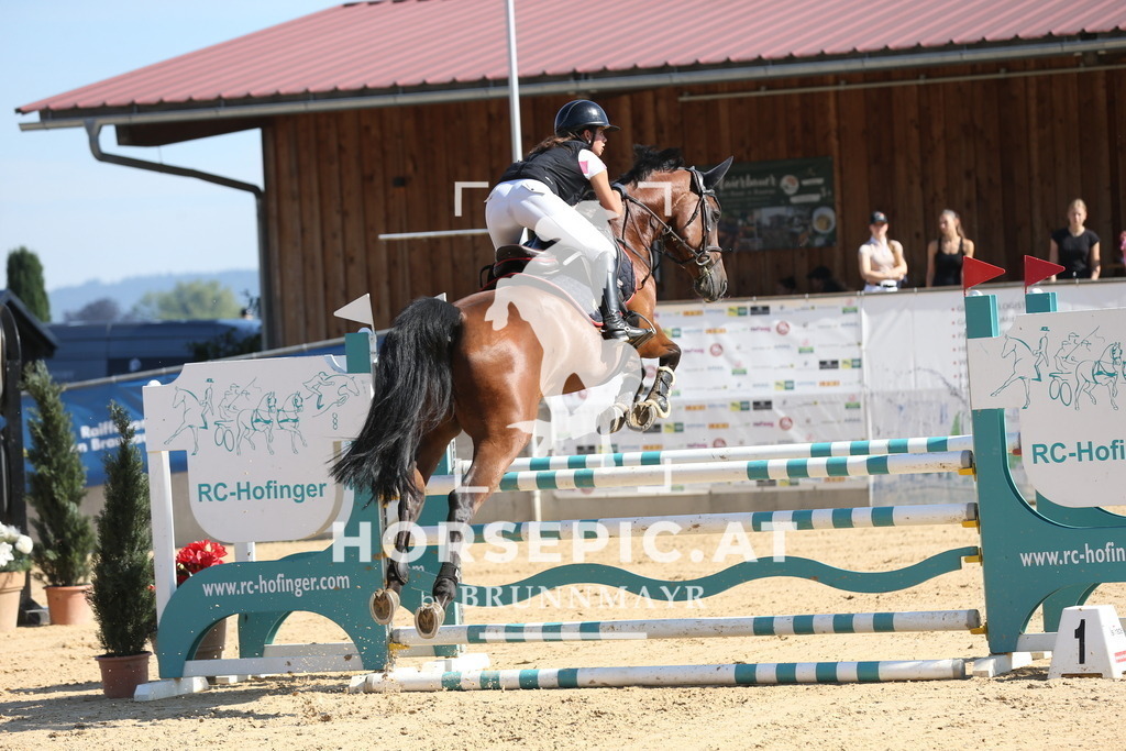 DL2Q2386 | Willkommen bei Brunnmayr - Design & Fotografie – Ihrem Spezialisten für Reitturniere und Pferdeveranstaltungen in Oberösterreich, Salzburg und Bayern! Seit über 17 Jahren sind wir leidenschaftlich dabei.