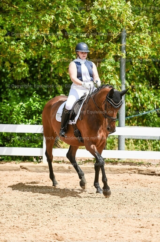 20230715_05_Dressurprüfung Kl.A++_0408 | equistock