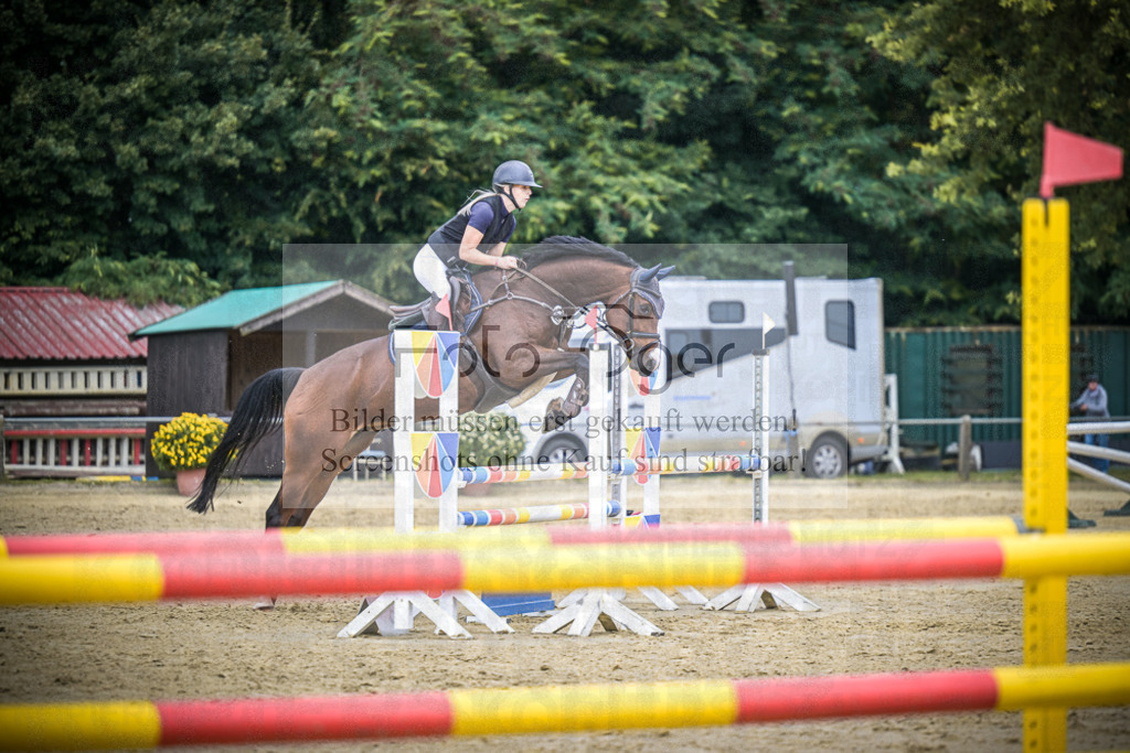 DOS_8818 | Entdecke hochwertige Reitturnierfotos von Foto Oger. Professionell, emotional und authentisch – jetzt Lieblingsmomente im Shop bestellen.Deutschlandweite Turnierfotografie. - Realisiert mit Pictrs.com
