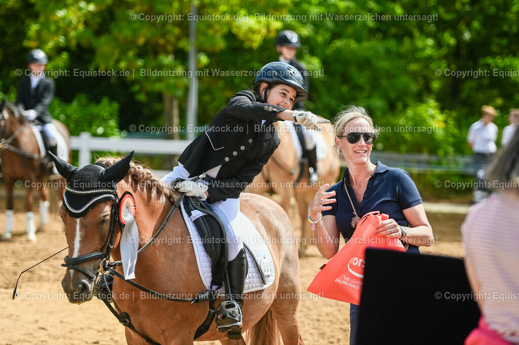 20230716_10-3_Reiter-WB Schritt - Trab - Galopp_0210 | equistock