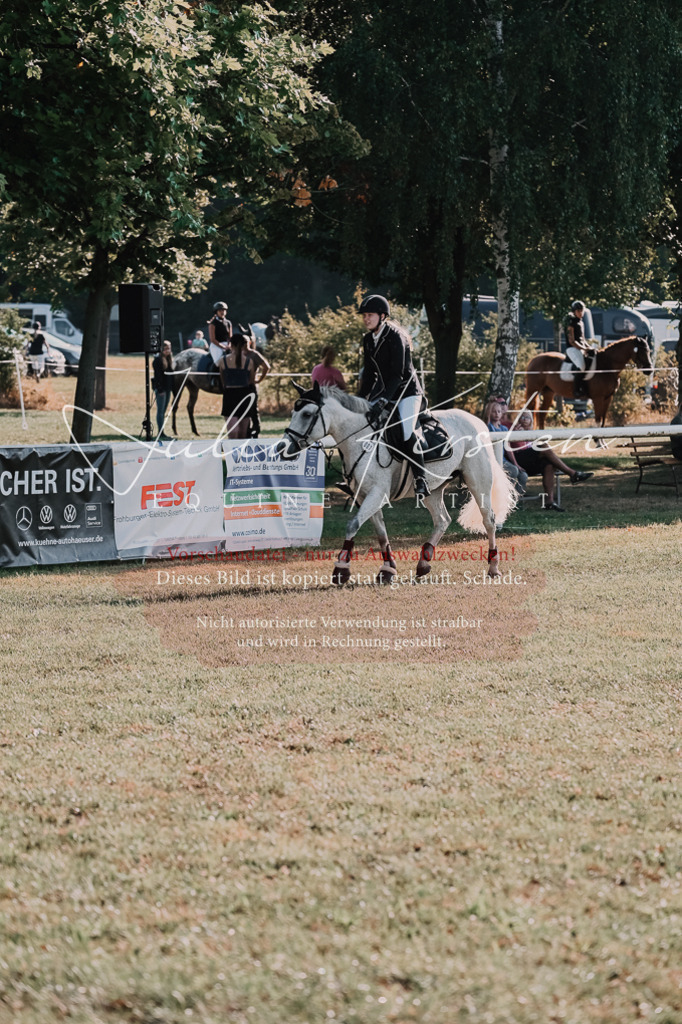 DSC_4444 | Pferde- und Turnierfotografie in Westsachsen. Pferdeportraits, Auftragszeichnungen und intuitive Kunst.