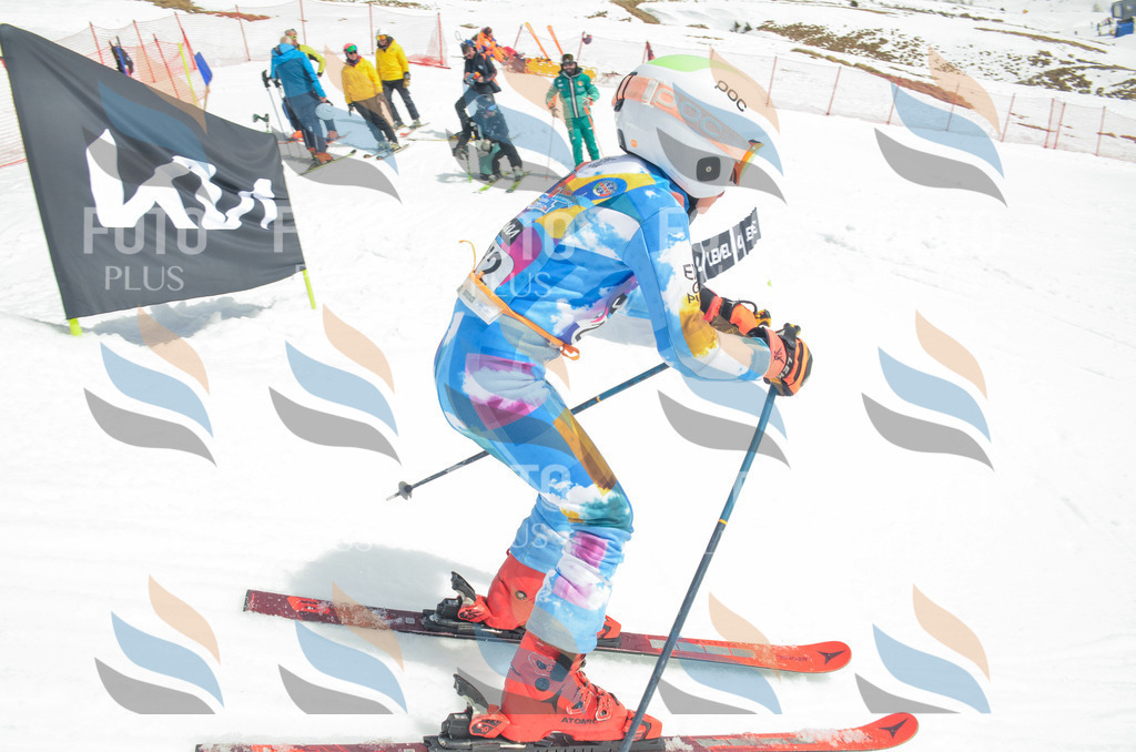 _ELE7822 | holidayphoto