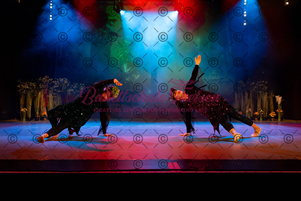 Ballettaufführung-241 | Bildershop Lem'n Entertainment - Realisiert mit Pictrs.com