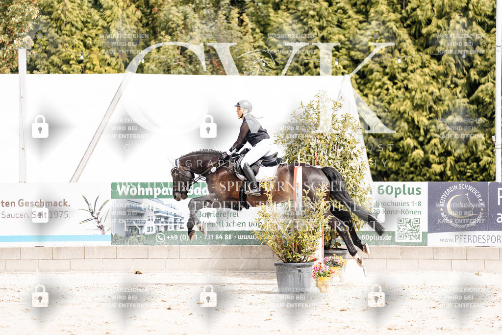 CK906659 | Turnierfotografie Pferdefotografie Trier Rheinland-Pfalz Pferdesport Reitsport Tierfotografie Sportfotografie Pferdevideo Pferdevideografie Equestrianvideography equestrianphotography  - Realisiert mit Pictrs.com