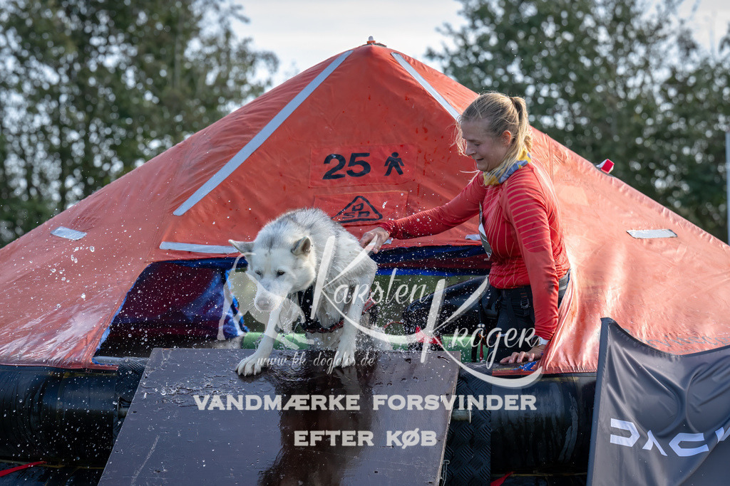 1155- | kk-dogfotos