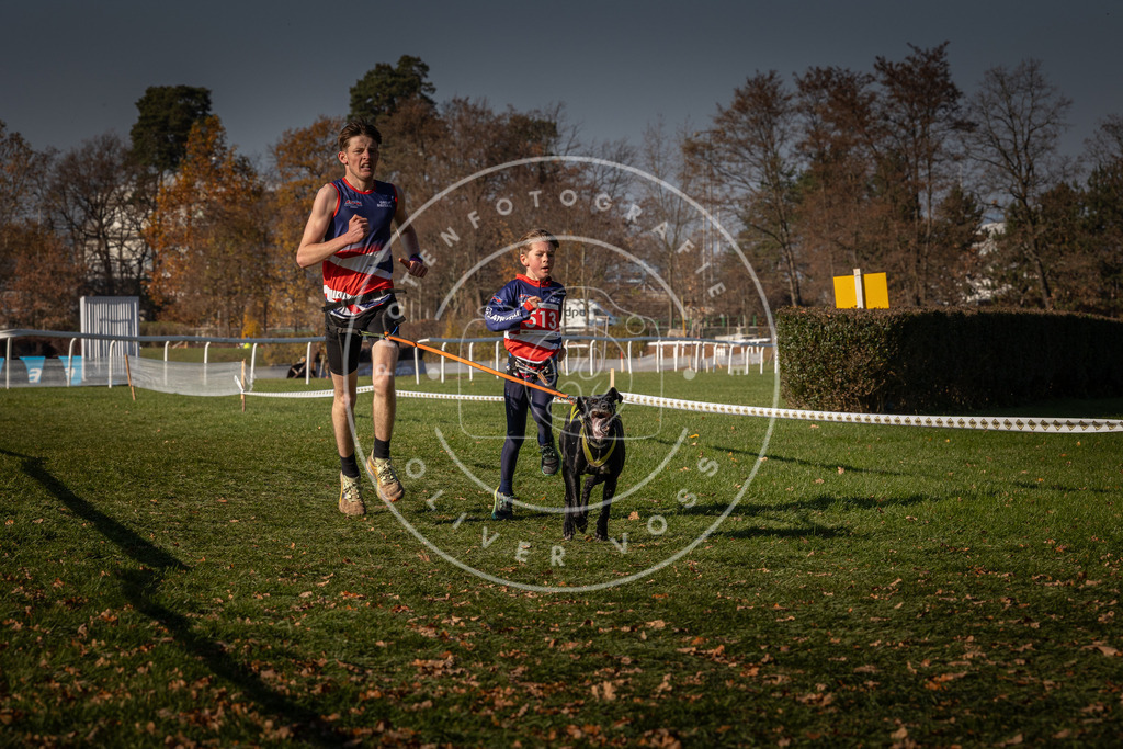 CaniXpix_0L8A8248 | Hundefotografie, Tierfotograf, Pfotenfotografie, Fotoshooting Hund, Hunde Portrait, Hundesport, Hundeportraits, Heideshooting, Hunde, Sportfotograf, Hundefotograf, Turnierhundsport, THS,  - Realisiert mit Pictrs.com
