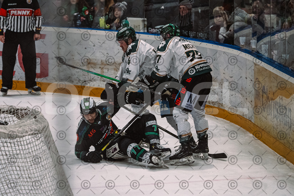 Alligators_vs_Erding_01_02_2026-19 | Höchstadt Alligators Fotogalerie: Eishockey-Action aus Franken. Professionelle Spielfotos, Portraits & Stadionbilder zum Download. Jetzt entdecken! - Realisiert mit Pictrs.com