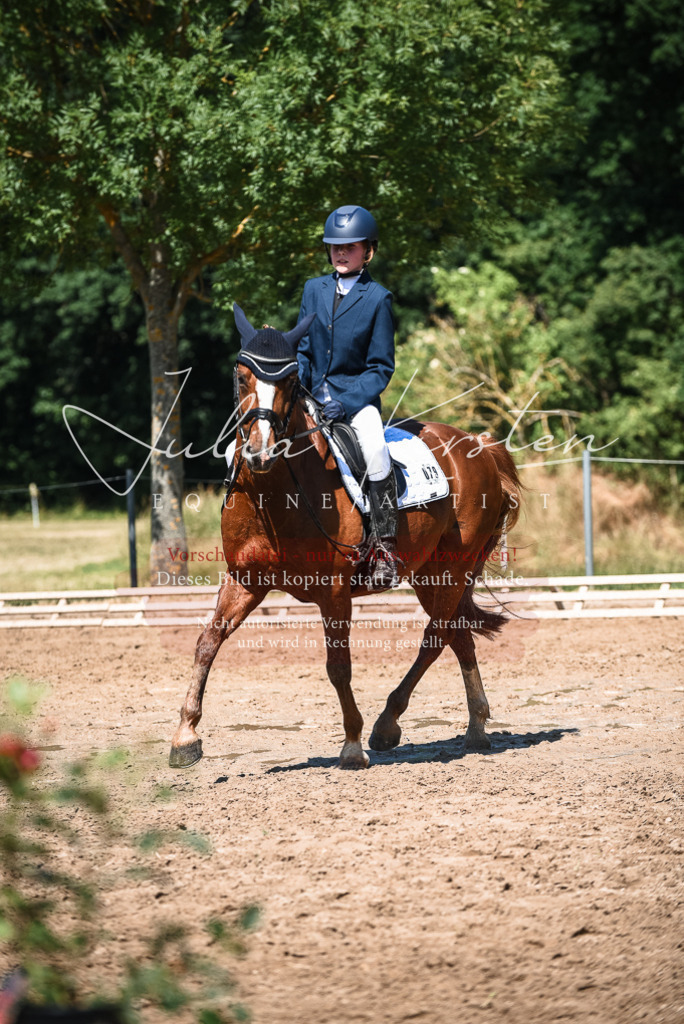 DSC_3546 | Pferde- und Turnierfotografie in Westsachsen. Pferdeportraits, Auftragszeichnungen und intuitive Kunst.