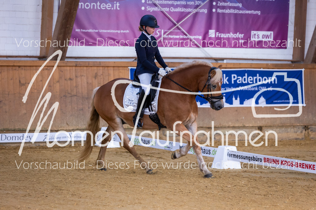 Sth-A-Dre-1St-094 | MomenTaufnahmen Pferdesportfotos