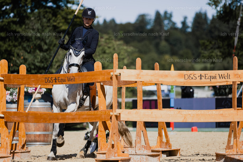 Svea13FHC2025-27366 | working equitationturnier fotograf videograf stoibphotography marixx film working equitation deutschland reitsport turnierfotografie eventfotografie equestrian events