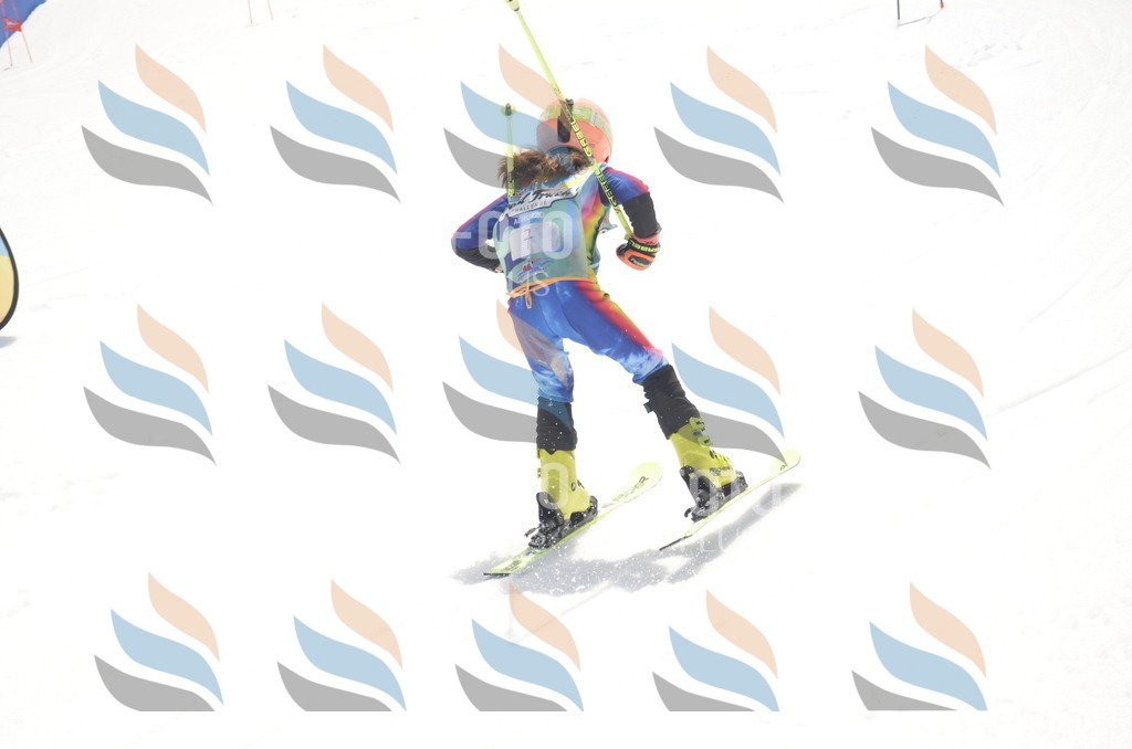 _ELE8534 | holidayphoto