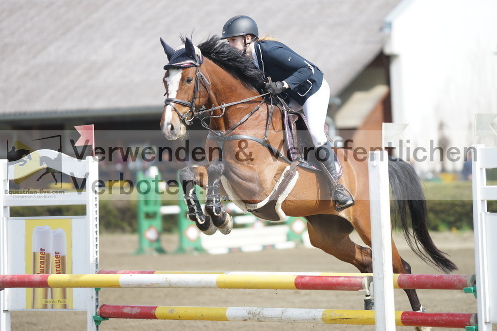 DSC04095 | equestrian-live-com