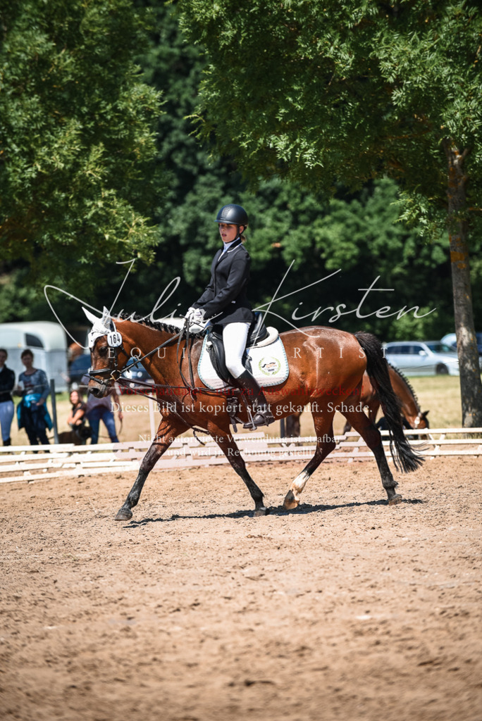DSC_3033 | Pferde- und Turnierfotografie in Westsachsen. Pferdeportraits, Auftragszeichnungen und intuitive Kunst.