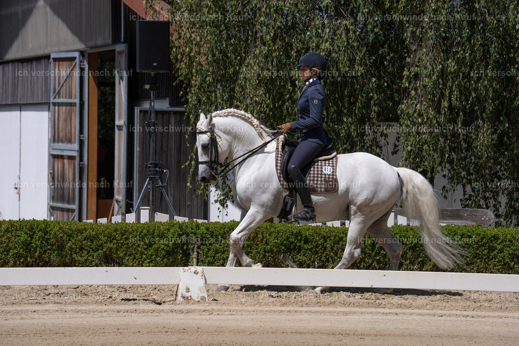 WS_DR_28_sinafilmart_IN08262 | working equitationturnier fotograf videograf stoibphotography marixx film working equitation deutschland reitsport turnierfotografie eventfotografie equestrian events