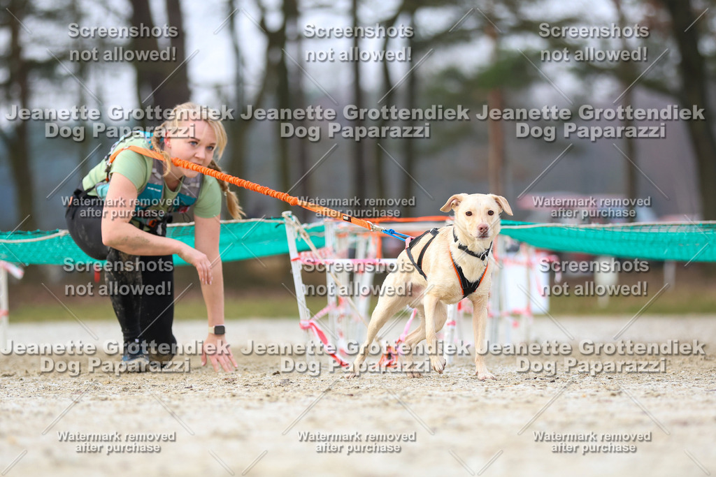 Dog Paparazzi - Strongdog North Mrz26-3774 | Dog Paparazzi Jeanette Grottendiek Fotografie & Videografie - Realisiert mit Pictrs.com
