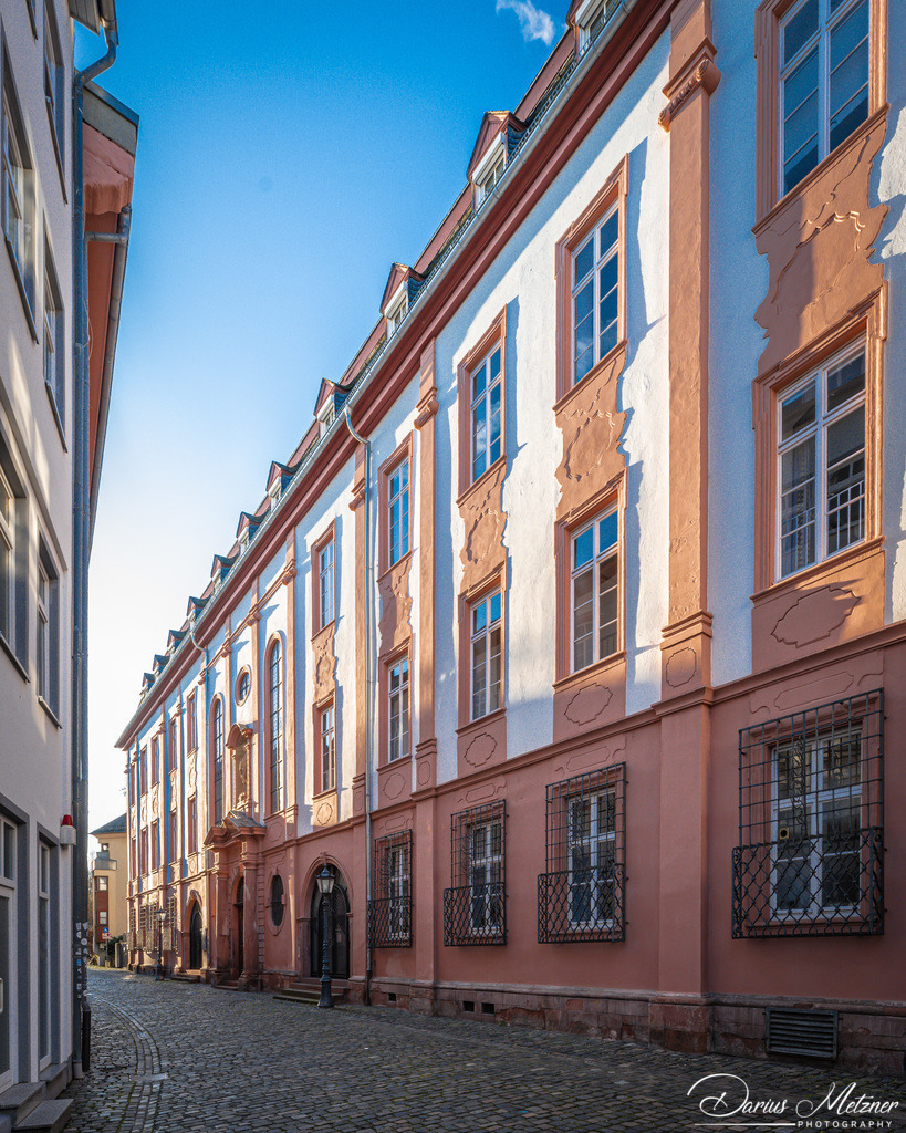 DSC_0573 | Fotografien, Fotos und Bilder aus Mainz, Frankfurt, Wiesbaden und anderen Orten auf der Welt - Fotografiert von Darius Metzner