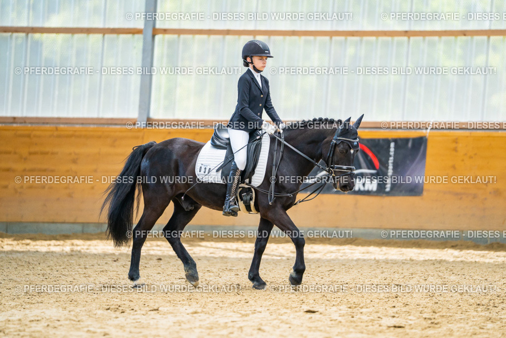 DSC00997 | Pferdegrafie