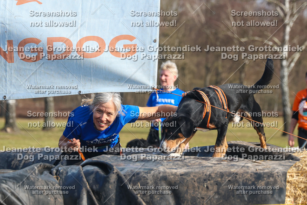 Dog Paparazzi - Strongdog North Mrz26-2688 | Dog Paparazzi Jeanette Grottendiek Fotografie & Videografie - Realisiert mit Pictrs.com