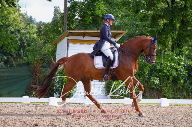 DKP41553 | Turnierfotos kaufen im Webshop von Daniel Kuhl Photography – entdecke professionelle Reitsportfotos aus Turnieren & Events. Hochwertige Turnierbilder online bestellen & sichern. Jetzt Fotos von Reitsportturnieren kaufen!