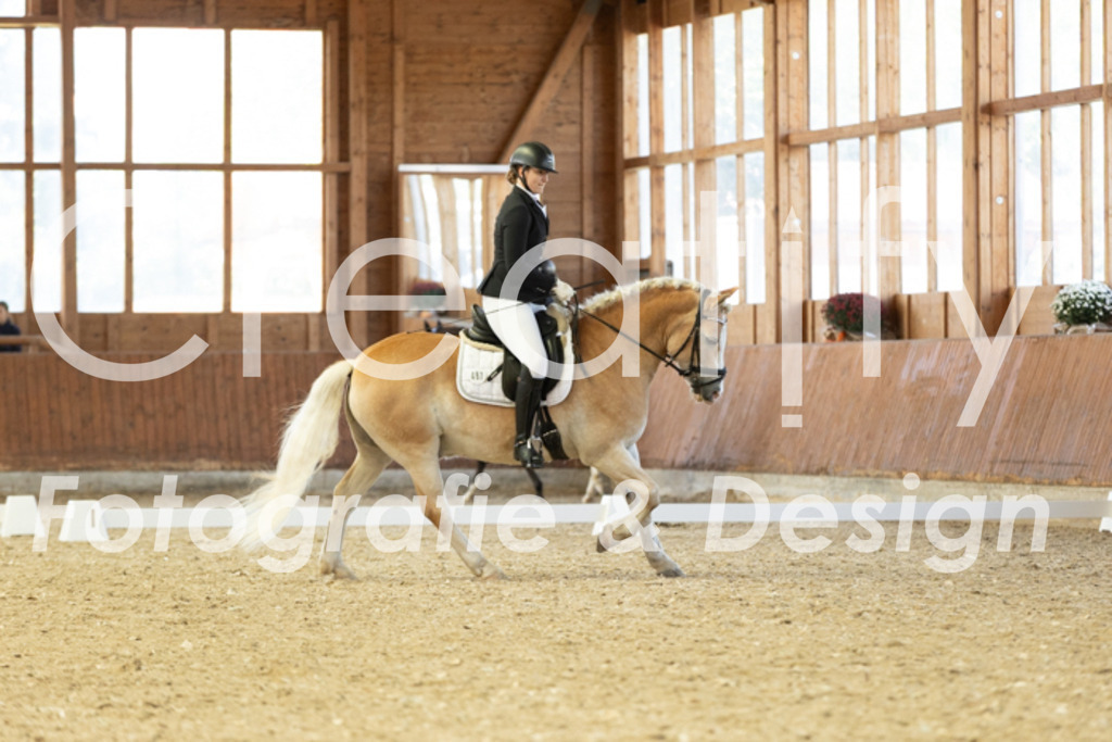 IMG_5412 | Creatify Fotografie