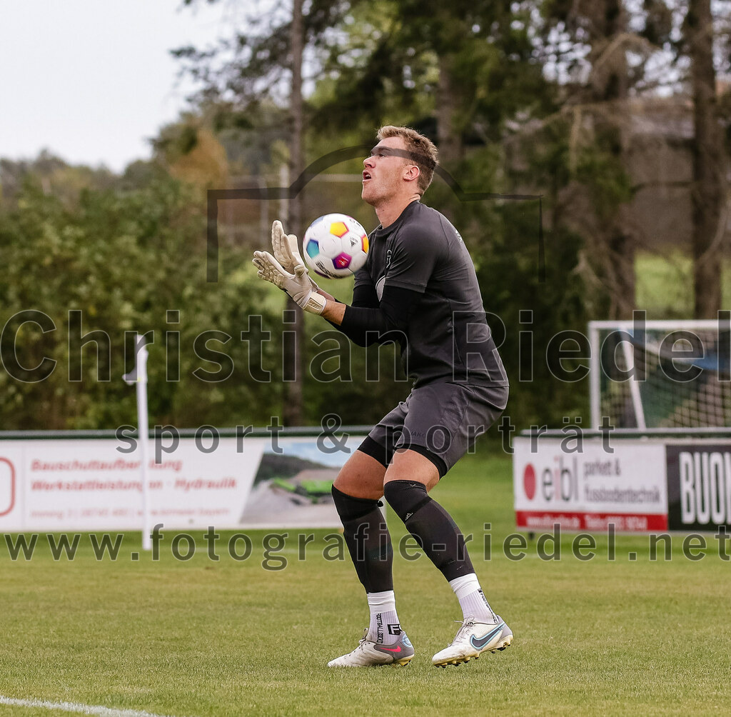 2023-10-14_088_FC_Langengeisling_gegen_TSV_Siegsdorf | Erding, Deutschland, 14.10.2023:
Fußball, Bezirksliga Oberbayern Ost 2023 / 2024, 13. Spieltag, FC Langengeisling gegen TSV Siegsdorf, Endergebnis: 3:0

Torwart Fabian König (TSV Siegsdorf, #1)

Foto: Christian Riedel / fotografie-riedel.net