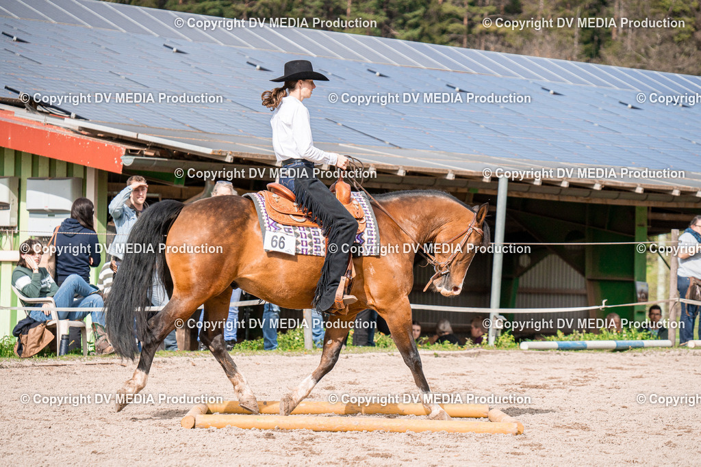 BAL02693 | dv-media-shop - Realisiert mit Pictrs.com