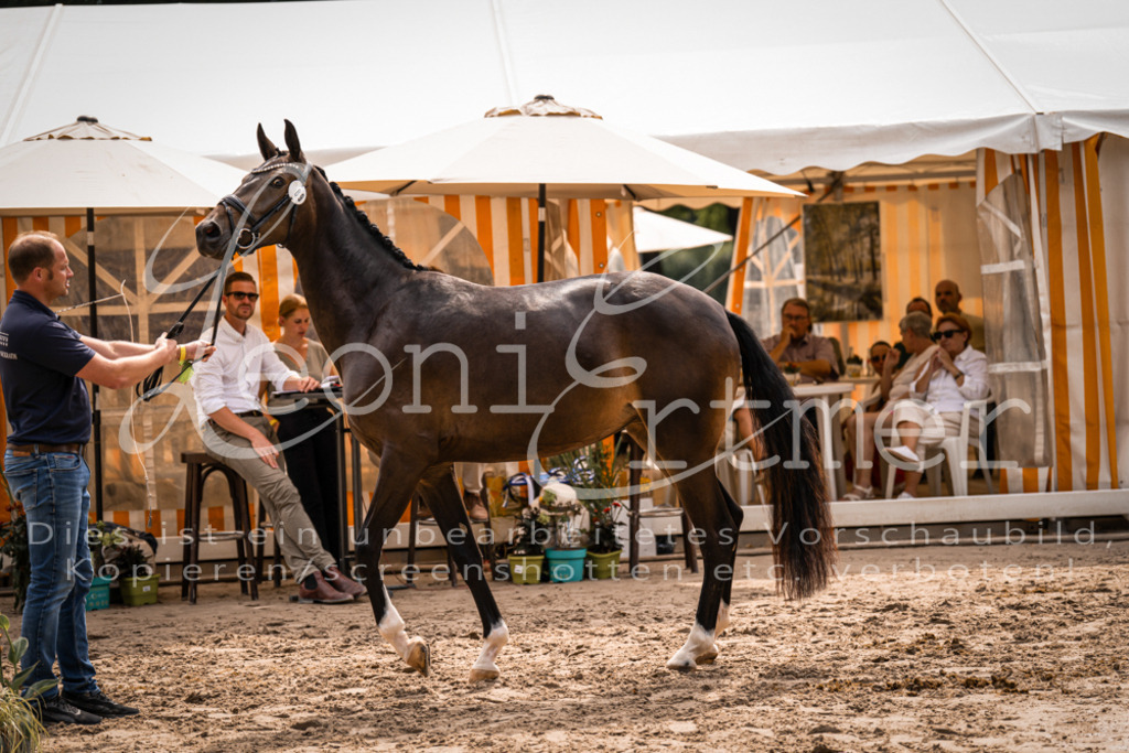 6.Fr00077 | Leoni Ertmer Photography - Realisiert mit Pictrs.com