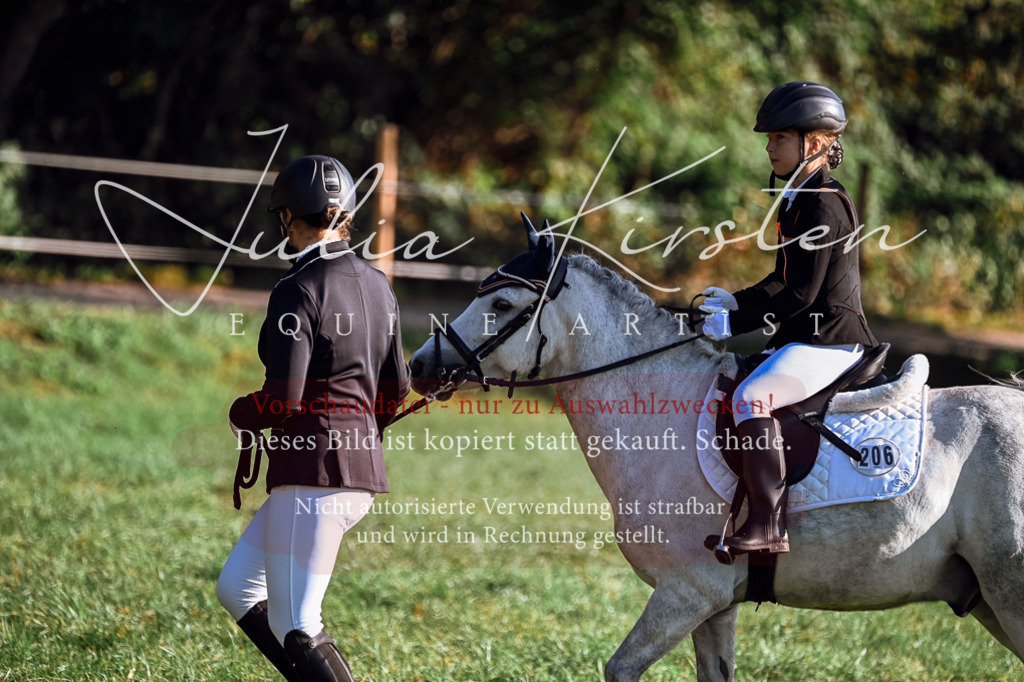 DSC_0440 | Pferde- und Turnierfotografie in Westsachsen. Pferdeportraits, Auftragszeichnungen und intuitive Kunst.