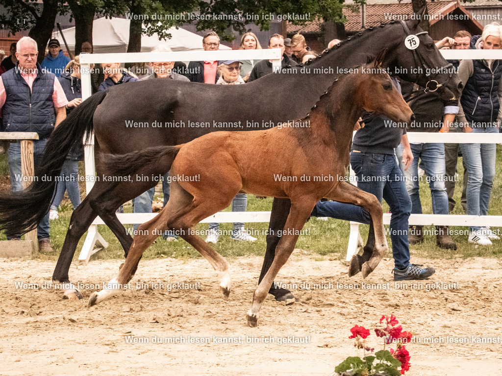 A10I1526 | photographylinaismer - Realisiert mit Pictrs.com